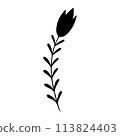 plant doodle, single plant silhouette isolated on white background 113824403