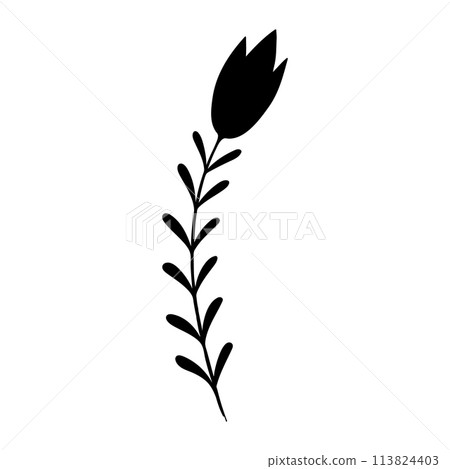 plant doodle, single plant silhouette isolated on white background 113824403