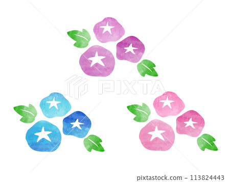 Hand-drawn watercolor morning glory illustration set 113824443