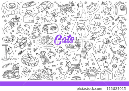 Domestic cats have fun with favorite toys or sleep on beds and sharpen claws. Hand drawn doodle. Domestic cats have fun with favorite toys or sleep on beds and sharpen claws. Hand drawn doodle. 113825015