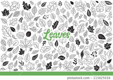 Leaves from forest trees of various types that have fallen in autumn season. Hand drawn doodle. Leaves from forest trees of various types that have fallen in autumn season. Hand drawn doodle. 113825016