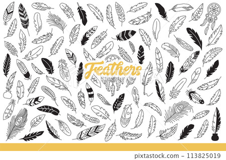 Light feathers of different birds for decorating clothes or using instead pen. Hand drawn doodle. 113825019