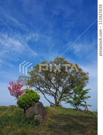 Yokoo-no-Tsuji [Takuma-cho (Shishijima), Mitoyo City, Kagawa Prefecture] 2 113825038