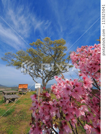 Yokoo-no-Tsuji [Takuma-cho (Shishijima), Mitoyo City, Kagawa Prefecture] 3 113825041
