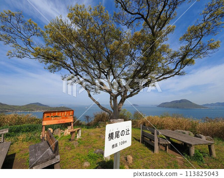 Yokoo-no-Tsuji [Takuma-cho (Shishijima), Mitoyo City, Kagawa Prefecture] 5 113825043