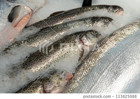 Fresh fish lies on ice in a supermarket Fresh fish lies on ice in a supermarket 113825088