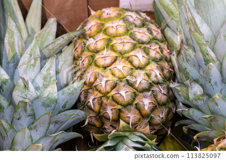 A lot of pineapples are sold in the supermarket 113825097