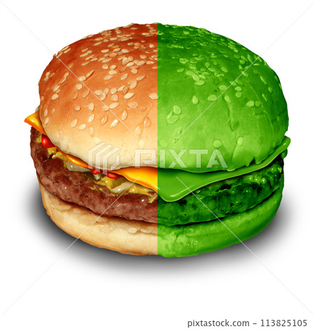 Plant-Based Meat Substitutes 113825105