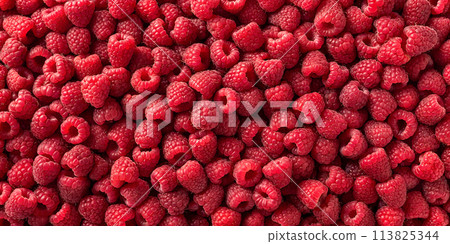 Background of Many Fresh Red Ripe Raspberries: Top View, Close-up 113825344