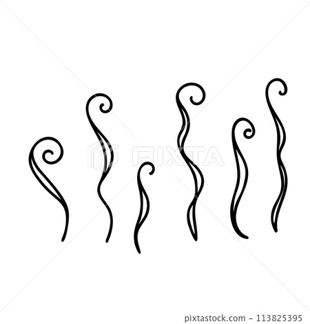 Seaweeds, algae. Curled plants vector illustration in simple doodle style isolated on white background. Seaweeds, algae. Curled plants vector illustration in simple doodle style isolated on white background. 113825395