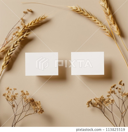 Two Square White Cards on Table Two Square White Cards on Table 113825519