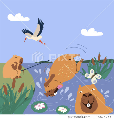 Copybaras dive into swamp and swim in water or fish in summer weather in national park 113825733