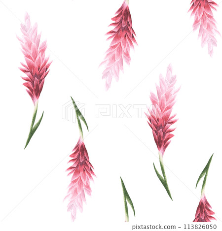 Hand drawn watercolor pattern flowers. Ginger flowers. tropical theme. For fabric, wrap paper, wallpaper, textile. Hand drawn watercolor pattern flowers. Ginger flowers. tropical theme. For fabric, wrap paper, wallpaper, textile. 113826050