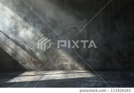 Empty Room With Concrete Wall and Floor Empty Room With Concrete Wall and Floor 113826263