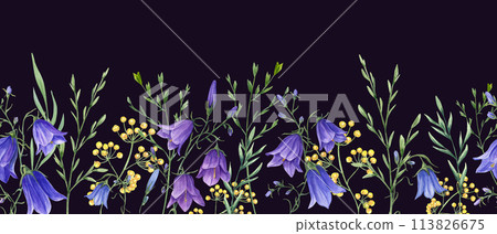Campanula, wild meadow plants. Blue, yellow flowers. Floral seamless horizontal border. Watercolor ornate isolated on black background. Panoramic illustration with summer herbs for textile, wrapping. Campanula, wild meadow plants. Blue, yellow flowers. Floral seamless horizontal border. Watercolor ornate isolated on black background. Panoramic illustration with summer herbs for textile, wrapping. 113826675