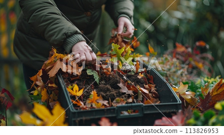 Person Picking Up Leaves From a Container Person Picking Up Leaves From a Container 113826953