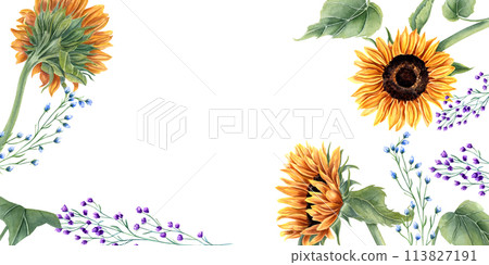Sunflowers and abstract wild plants. Blue, orange yellow flowers. Floral summer composition with copy space for text. Watercolor illustration for wedding templates, birthday greetings. 113827191