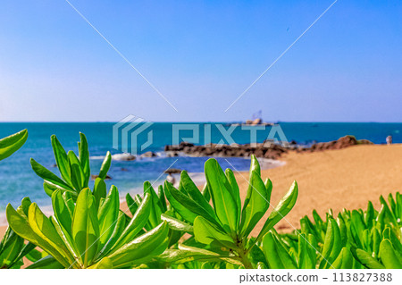 View of the shore of the South China Sea with a sandy beach, palm trees and plants, large stones. China View of the shore of the South China Sea with a sandy beach, palm trees and plants, large stones. China 113827388