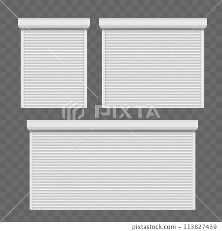 Roller shutter door or gate. Vector template 113827439
