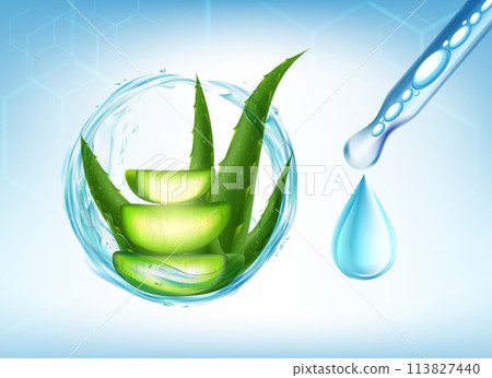 Glass pipette with serum with Aloe vera plant. 113827440