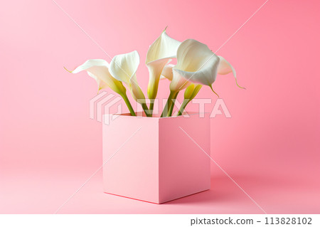 Pink cube and callas flowers around it on pink monochrome background Pink cube and callas flowers around it on pink monochrome background 113828102