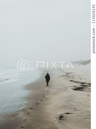 Person Standing in Water on Beach 113828142