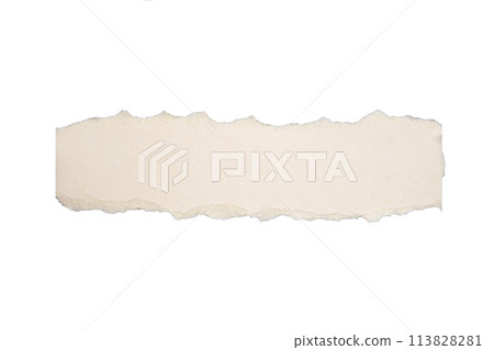 paper ripped torn 113828281