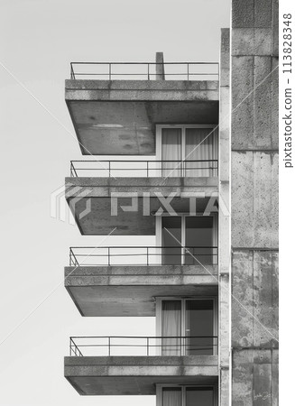 Historic Building in Black and White 113828348