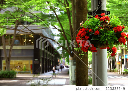 東京風景：丸之內中通街的初夏風景，路燈上裝飾著鮮紅的毛茛花 113828349