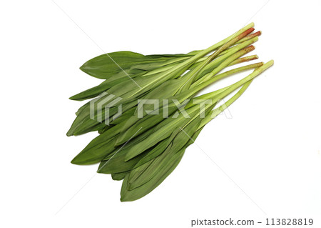 Wild garlic on white background Wild garlic on white background 113828819