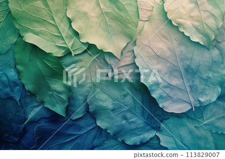 Close Up of a Green Leafy Plant 113829007