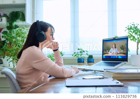 Online work video meeting of two female colleagues Online work video meeting of two female colleagues 113829736