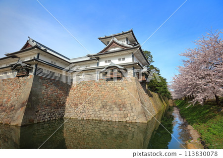 【石川縣】晴朗的金澤城、菱櫓和櫻花盛開 113830078