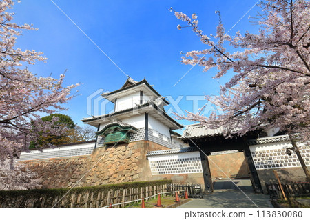 【石川縣】晴天的金澤城、石川門和盛開的櫻花 【石川縣】晴天的金澤城、石川門和盛開的櫻花 113830080