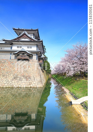 【石川縣】晴朗的金澤城、菱櫓和櫻花盛開 113830081
