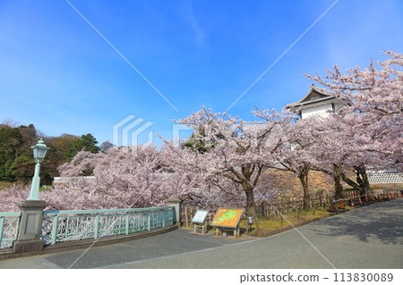 [Ishikawa Prefecture] Kanazawa Castle Ishikawa Gate and cherry blossoms in full bloom on a clear day 113830089