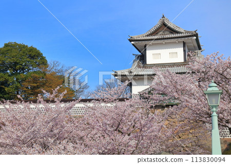 [Ishikawa Prefecture] Kanazawa Castle Ishikawa Gate and cherry blossoms in full bloom on a clear day 113830094