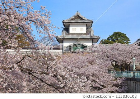 【石川縣】晴天的金澤城、石川門和盛開的櫻花 113830108