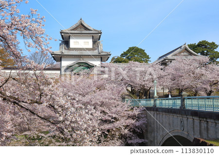 【石川縣】晴天的金澤城、石川門和盛開的櫻花 113830110