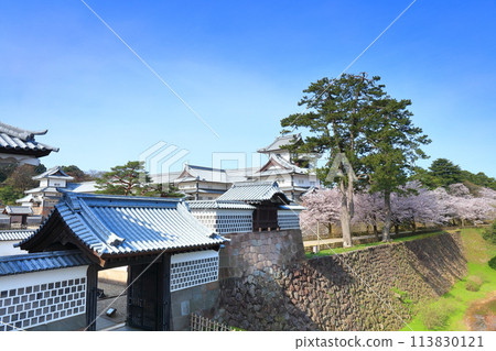 【石川縣】晴天的金澤城、河北門、菱櫓、櫻花盛開 113830121