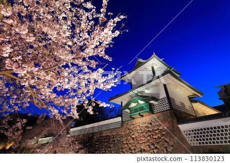 【石川縣】金澤城石川門櫻花夜盛開 113830123