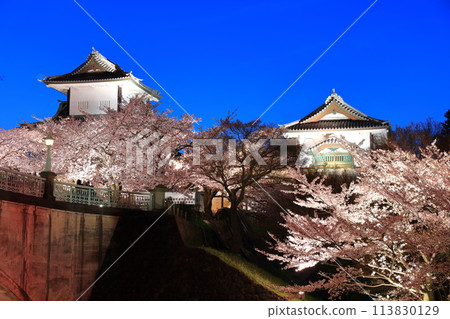[Ishikawa Prefecture] Cherry blossoms in full bloom at Ishikawa Gate of Kanazawa Castle 113830129