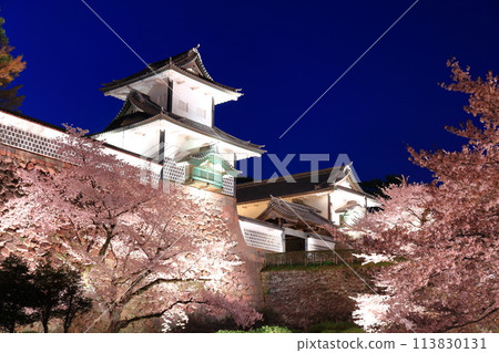 【石川縣】金澤城石川門櫻花夜盛開 113830131