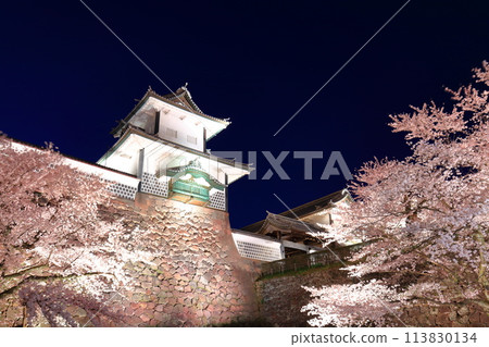 [Ishikawa Prefecture] Cherry blossoms in full bloom at Ishikawa Gate of Kanazawa Castle 113830134