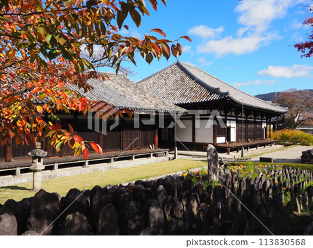 Azumaya wrapped in autumn leaves 113830568