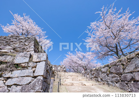 櫻花盛開武田城堡遺址 櫻花盛開武田城堡遺址 113830713