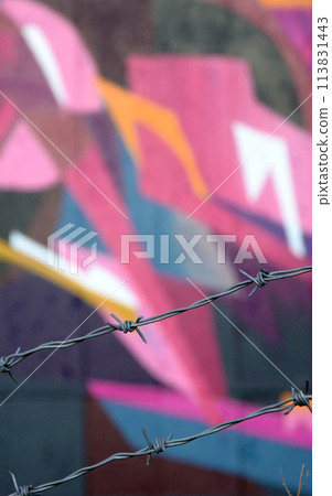 Colorful background of graffiti painting artwork with bright aerosol outlines on wall. Old school street art piece made with aerosol spray paint cans. Contemporary youth culture backdrop 113831443