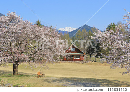 Chihiro Art Museum Azumino in the spring when cherry blossoms bloom Chihiro Art Museum Azumino in the spring when cherry blossoms bloom 113831510