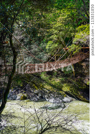 Iya的Kazura橋 Iya的Kazura橋 113831850