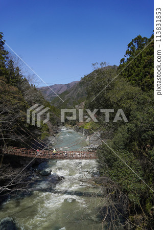 Kazura Bridge in Iya 113831853